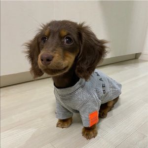 Meet your Posher, Max